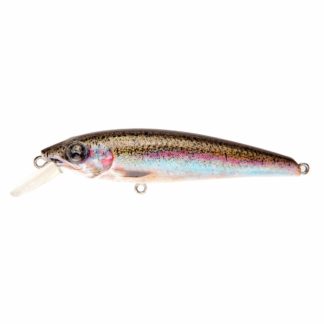 Rainbow Trout 432