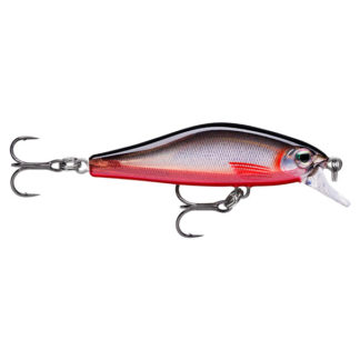 Rbs Red Belly Shad