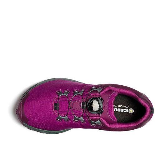 Icebug DTS3 W Bugrip GTX