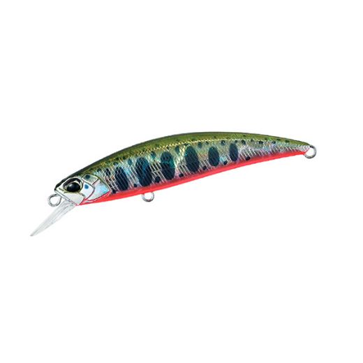DUO Spearhead Ryuki 70S (Yamame Red Belly)