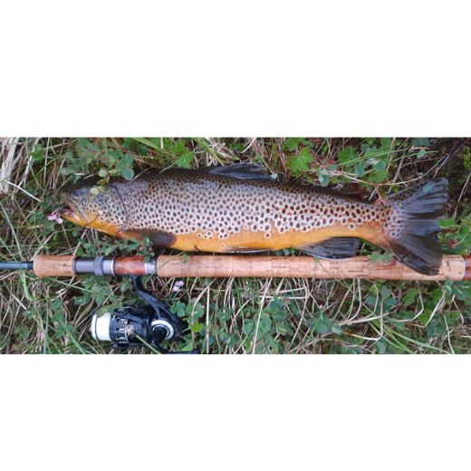 DUO Realis Rozante 63SP (Mat Rider OB)