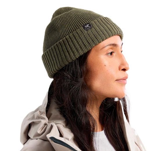 ArcTeryx Mallow Toque (Tatsu)