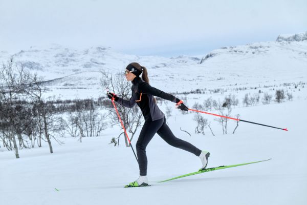 Guide til felleski