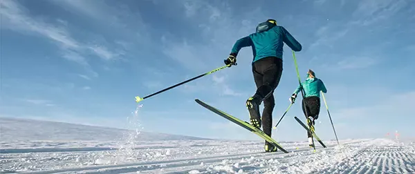 Hvordan vedlikeholde felleski?