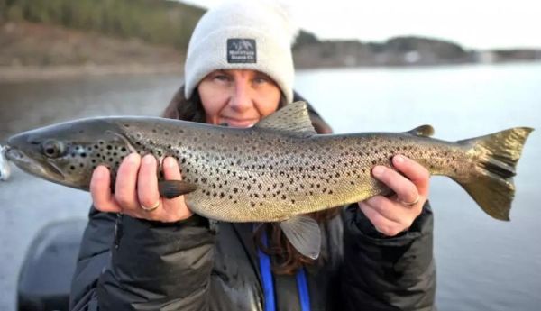 Tailwalk Backhoo Tres - Test og omtale av en serie supre fiskestenger for spinnfiske
