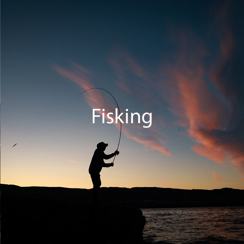 Fisking