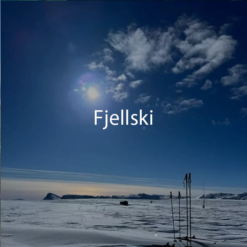 fjellski-12