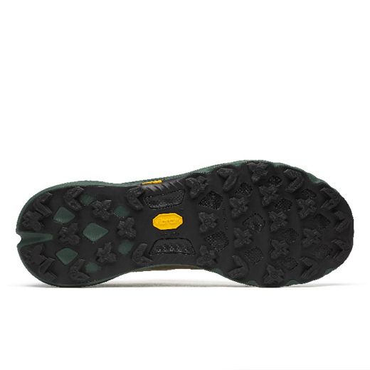 Merrell Agility Peak 5 Men (Beach) 